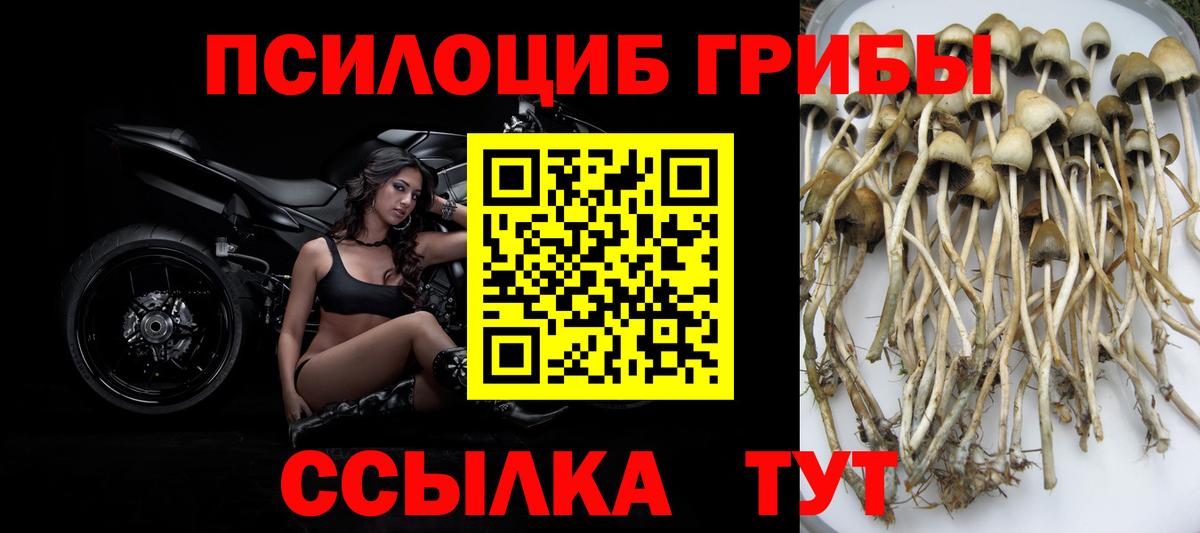 Галлюциногенные грибы прущие грибы Добрянка