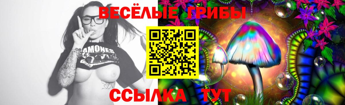 Псилоцибиновые грибы прущие грибы  Вход с VPN  Добрянка  Псилоцибиновые грибы прущие грибы 